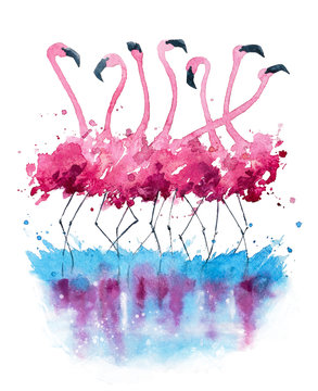 Flamingos watercolor painting © kamenuka