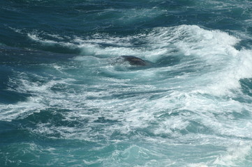 Fototapeta premium Fale wody w świetle dziennym