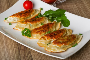 Japan traditional cuisine - Gyoza