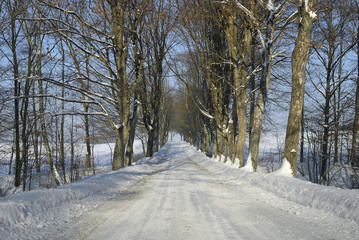 Fototapeta premium Ośnieżona droga wiejska