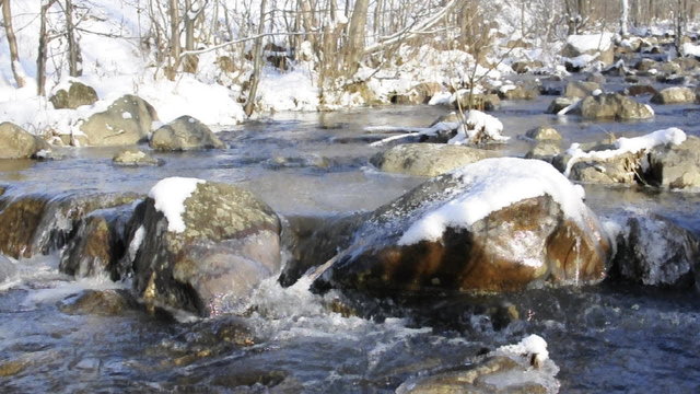 Water stream of winter creek