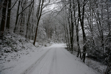 zugeschneite Straße