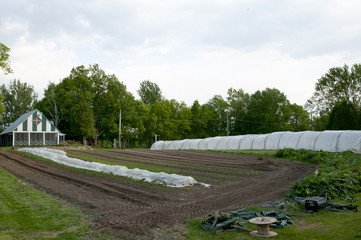 Greenhouse Farm