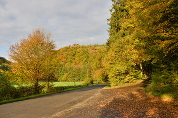 Obraz premium Straße am Waldrand