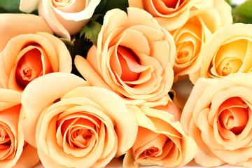 Bouquet of orange roses background, close up