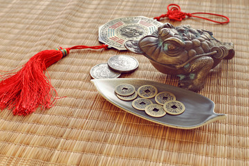 Lucky frog with coins on bamboo background 