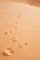 Fototapeta na wymiar Impronte sulle dune di sabbia di Stero, nell'area protetta della spiaggia di Aomak, isola di Socotra, Yemen