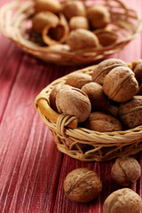 Walnut isolated on a white background
