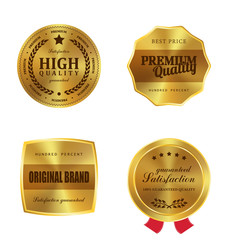 Golden metal badges vector