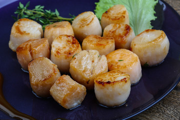 Scallops