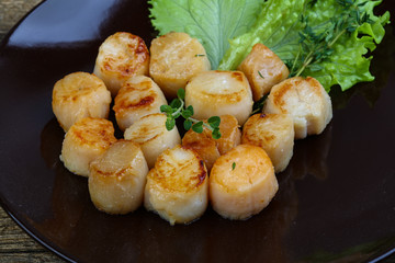 Scallops