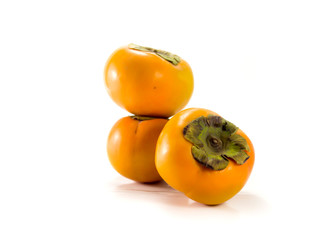 persimmon