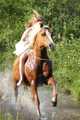 Halsring reiten - Galopp im Wasser