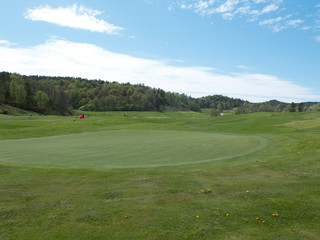 Golf course one early summerday