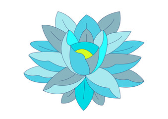 Fototapeta premium water lily