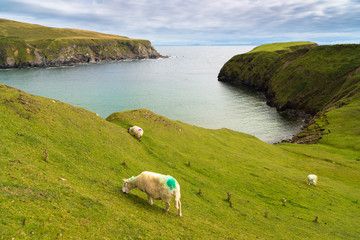 Panorama Bay Malin Beg, County Donegal, Ireland
