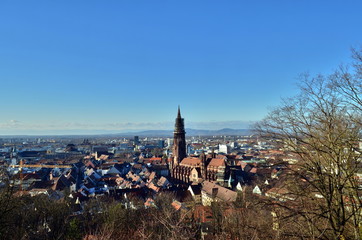 Blick auf Freiburg