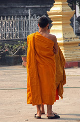 Fototapeta premium Laos, moines bouddhistes à Luang Prabang