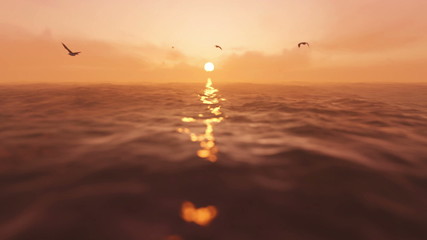 sea sunset with seagulls - Powered by Adobe