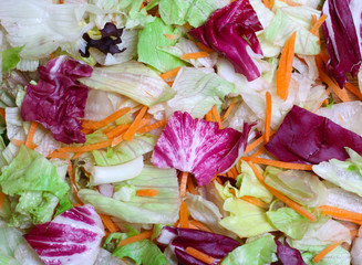  background salad with lettuce and carrots