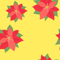 flower Christmas star - poinsettia on yellow background texture