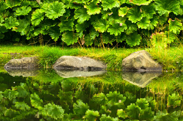 Reflection of garden plants and stones in a small lake