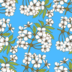 Cherry blossom seamless pattern. Floral vector background 