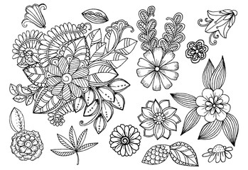 Set of doodle floral elements for design or coloring