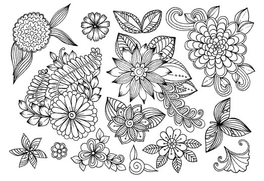 Set of doodle floral elements for design or coloring
