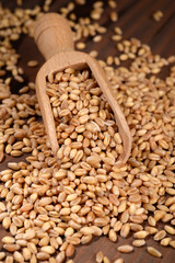 Heap of wheat with wooden scoop