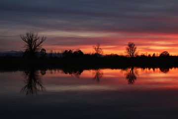 Colorful evening sky and trees at lake Pfaffikon