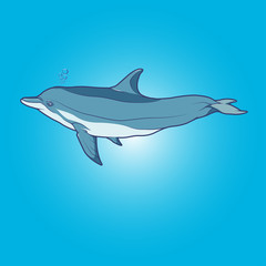 Dolphin