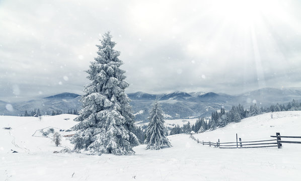 Beautiful winter landscape with snow covered trees