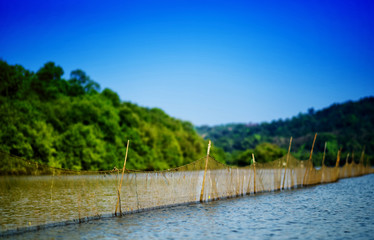 Horizontal vivid day fishing on indian river background backdrop