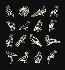 Birds vector white doodle icon set