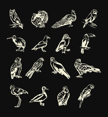Obraz premium Birds vector white doodle icon set