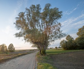 Country rural sandy road