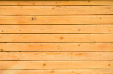 Obraz premium wood texture