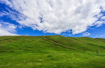 Naturlandschaft in Ystad, Schweden