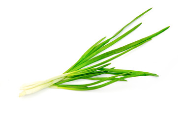 Green Onion