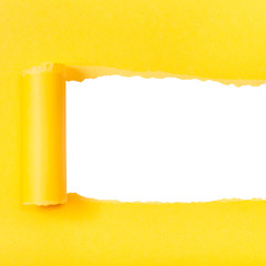 yellow rolled-up torn paper on square background
