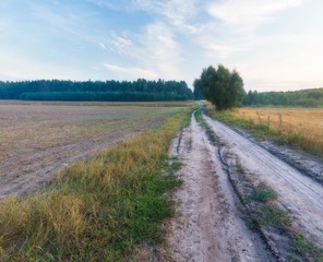 foggy morning meadow. landscape..