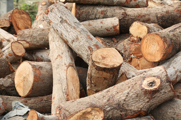 background of firewood.