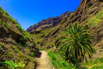 Landscape with Footpath on Tenerife Island