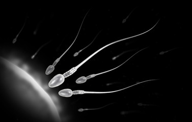 Sperm - obrazy, fototapety, plakaty