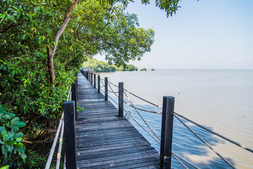 Naklejka premium Wooden walkway, Mangrove forest in Thailand.