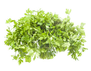 Fresh parsley on white background