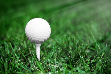 White golf ball on green grass background