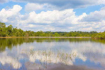 Fototapeta premium Lake in the national park,khao yai,Thailand