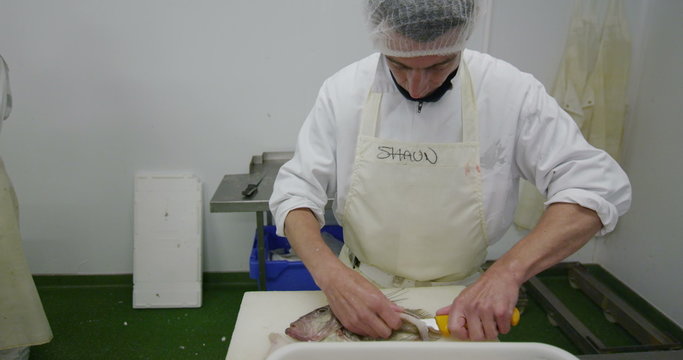 Worker in a seafood processing factory preparing fresh fish for sale